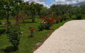 Casa Vacanze Le Rose